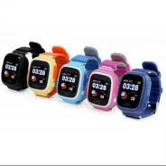 Wonlex GW100