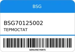 ��������� BSG BSG70125002 BSG70125002 ����