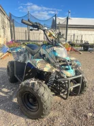 Boss BS110. ��������, �� ����