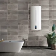 Electrolux. 2����. ����