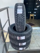 Formula Ice. ������, ����������, 2026 ���, ����� ����
