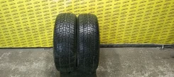 Nexen Roadian HP