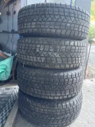 Nereus NS806. ������, ��� �����, 2024 ���, �/�, ����� �� 5 % ����