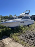 Searay. ����� 15��., ��������� ��� ��������� ����