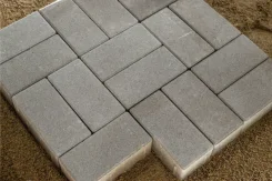 ���������. ����