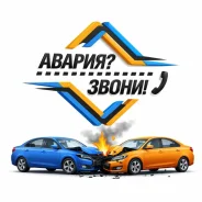����������. ����