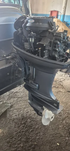 ����. 1991 ���, ����� 4,2��., ��������� ���������, 40��.�., ������ ����