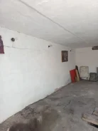���� ����� ����