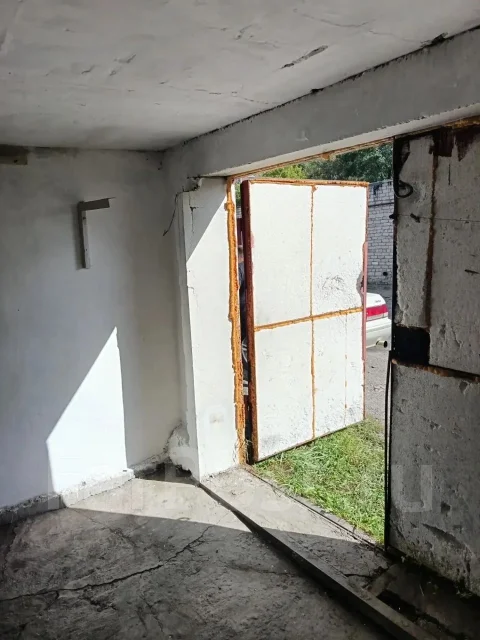 ���� ����� ����