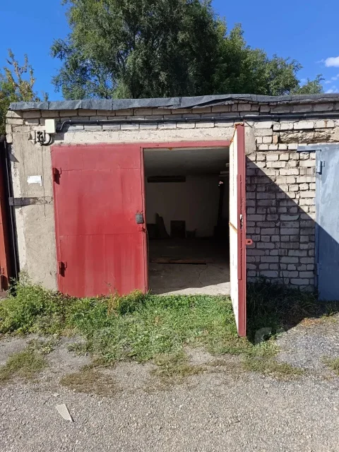 ���� ����� ����