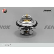 ��������� (+87�C) Fenox, ���. TS107 TS107 ����