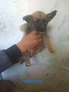 ������. ����