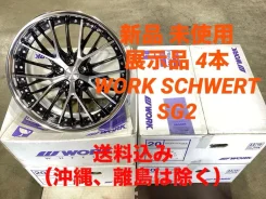 Work Schwert SG2