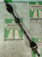 ������ Toyota Porte 4341052130 NNP11 1NZFE, �������� ������ 4341052130 ����