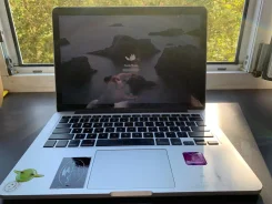 Apple MacBook Pro 15. ��� 256 �� � ������ ����