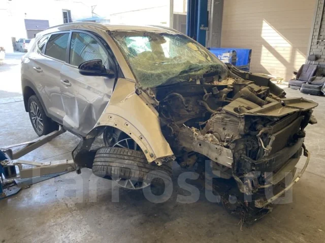 Hyundai Tucson. TL, G4NA ����