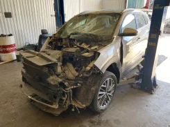 Hyundai Tucson. TL, G4NA ����