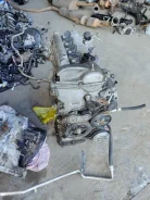Toyota Succeed ����