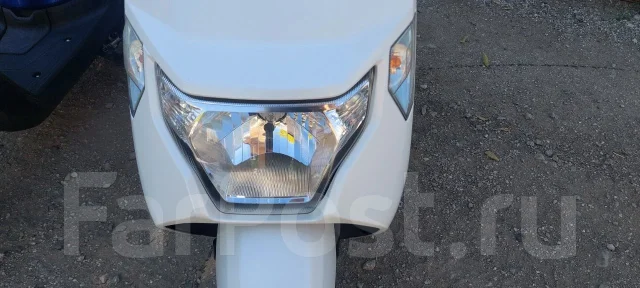 Honda Dunk. 49����. ��., ��������, ���������, ��� ������� ����