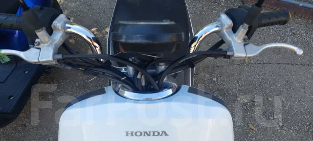 Honda Dunk. 49����. ��., ��������, ���������, ��� ������� ����