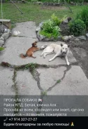 ������. ����