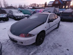 Toyota Cavalier. TJGOO, T2 ����