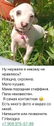 ������. ����