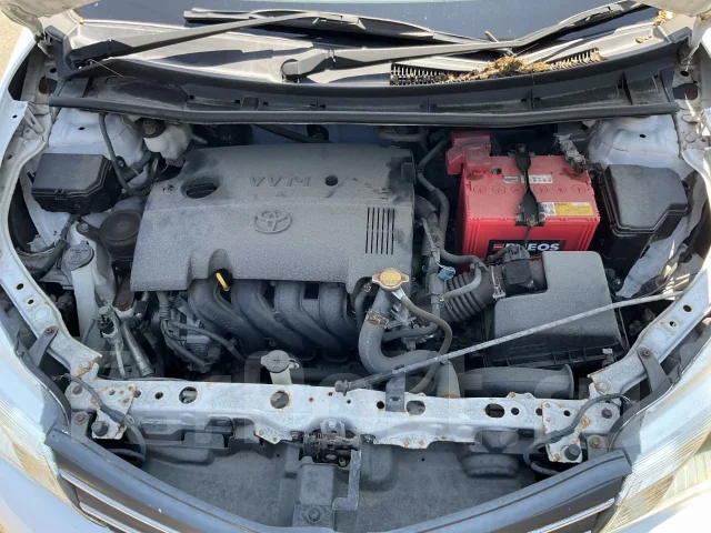 Toyota Corolla Axio. NZE164, 1NZFE ����