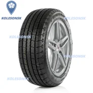 Centara Winter RX621