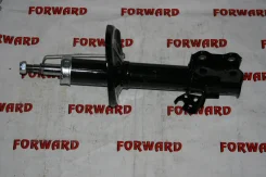 �����. ������ 334173 (Ipsum/GAIA #XM10) FR LH Miles, �����/������ �������� DG1103701 ����