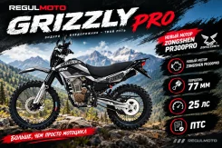 Regulmoto Grizzly. 300����. ��., ��������, ���������, ��� ������� ����