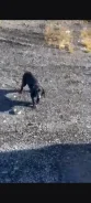 ��������. ����