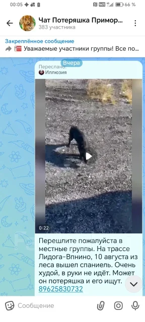 ��������. ����