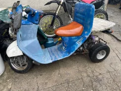 Honda Gyro Canopy ����