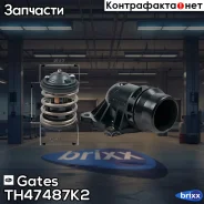 ��������� Gates ���. TH47487K2 TH47487K2 ����