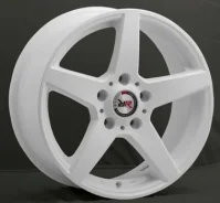 Race Ready CSS254
