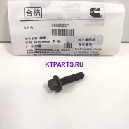 ���� ��������� ���������� ������ 3902023 3902023 ����