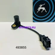 ������ ���� ������ 493855 493855 ����