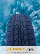 Triangle Snowlink LL01. �����������, 2026 ���, ����� ����