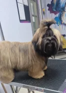 ��-���. ��� ����� �� ������� ����