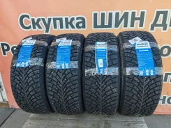 Fortune Polaro Ice. ������, ����������, 2026 ���, ����� ����