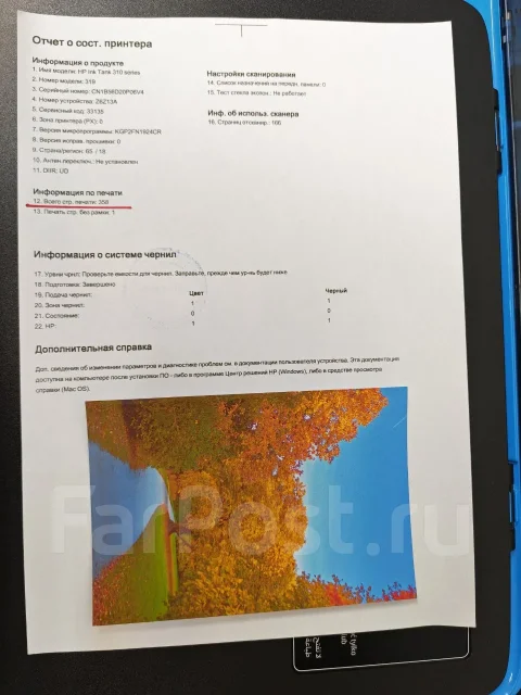 ��� ��������. ����
