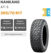 Nankang RT