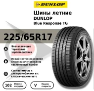 Dunlop Blue Response TG