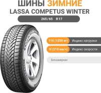 Lassa Competus Winter 2