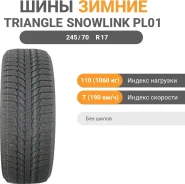 Triangle Snowlink PL01