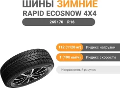 Rapid Ecosnow 4X4