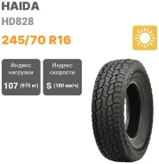 Haida HD828