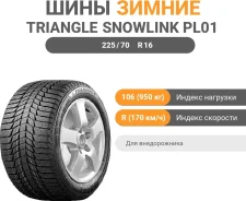 Triangle Snowlink PL01