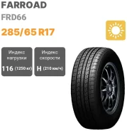 Farroad FRD66